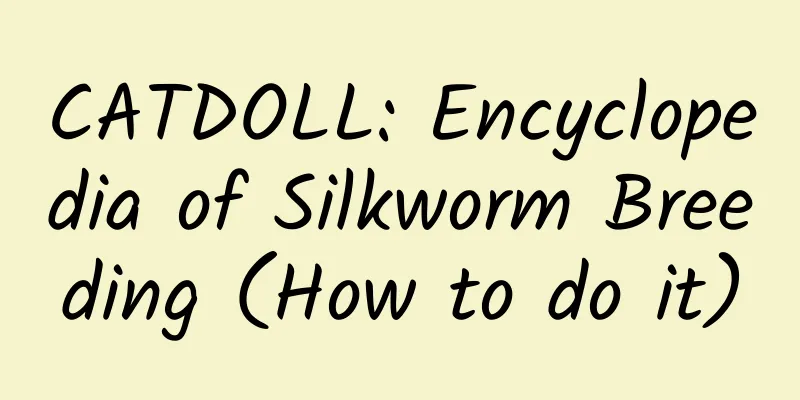 CATDOLL: Encyclopedia of Silkworm Breeding (How to do it)