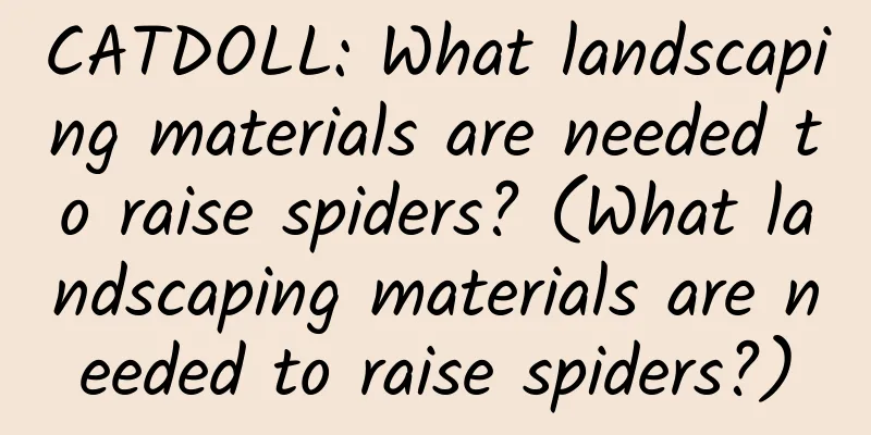 CATDOLL: What landscaping materials are needed to raise spiders? (What landscaping materials are needed to raise spiders?)
