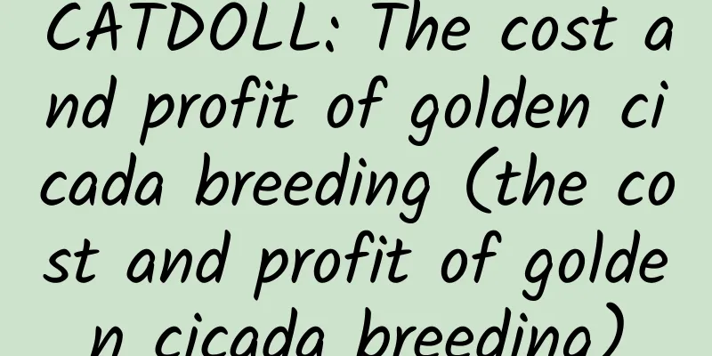 CATDOLL: The cost and profit of golden cicada breeding (the cost and profit of golden cicada breeding)