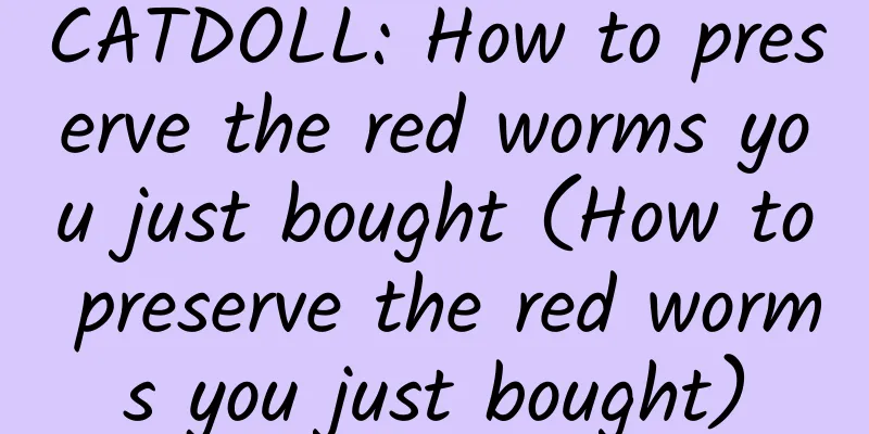 CATDOLL: How to preserve the red worms you just bought (How to preserve the red worms you just bought)