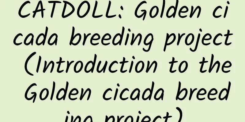CATDOLL: Golden cicada breeding project (Introduction to the Golden cicada breeding project)