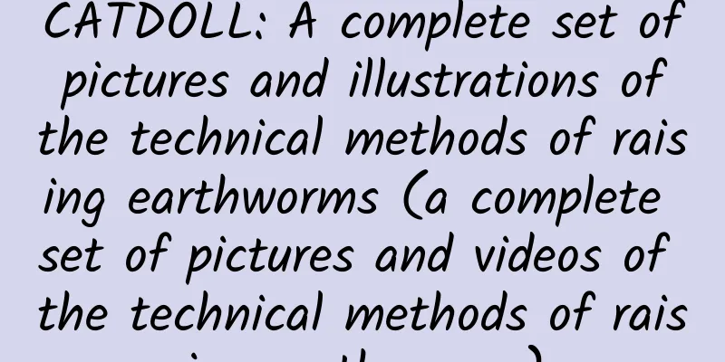 CATDOLL: A complete set of pictures and illustrations of the technical methods of raising earthworms (a complete set of pictures and videos of the technical methods of raising earthworms)