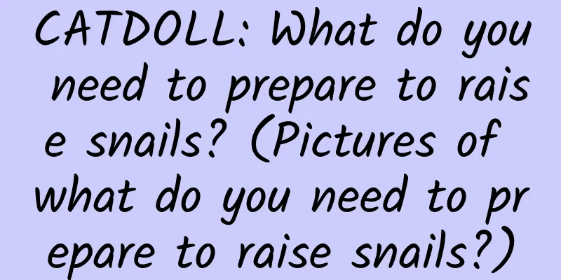 CATDOLL: What do you need to prepare to raise snails? (Pictures of what do you need to prepare to raise snails?)