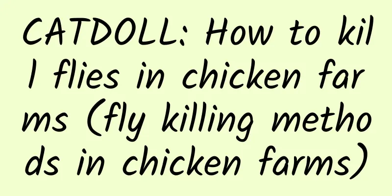 CATDOLL: How to kill flies in chicken farms (fly killing methods in chicken farms)