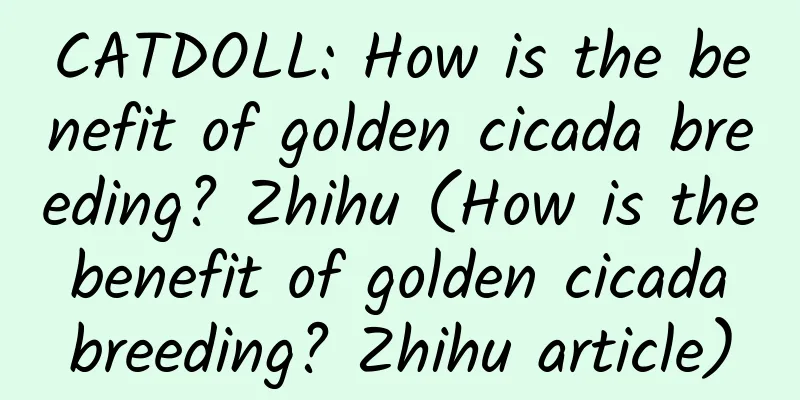 CATDOLL: How is the benefit of golden cicada breeding? Zhihu (How is the benefit of golden cicada breeding? Zhihu article)