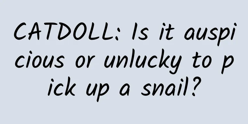 CATDOLL: Is it auspicious or unlucky to pick up a snail?