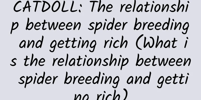 CATDOLL: The relationship between spider breeding and getting rich (What is the relationship between spider breeding and getting rich)