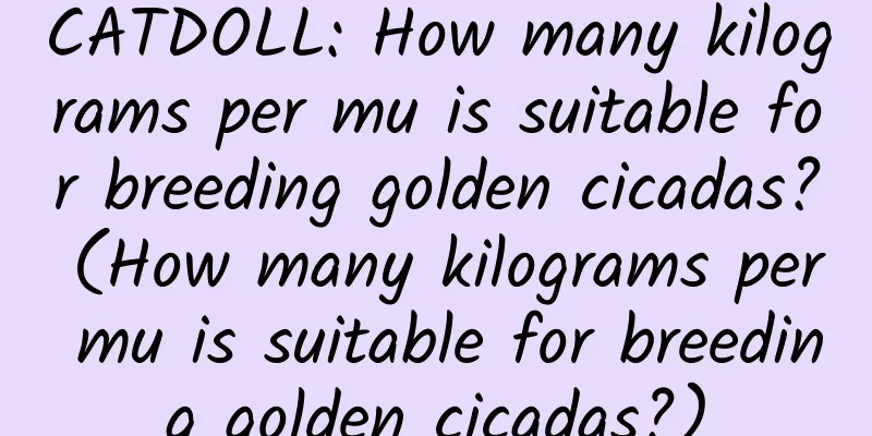 CATDOLL: How many kilograms per mu is suitable for breeding golden cicadas? (How many kilograms per mu is suitable for breeding golden cicadas?)