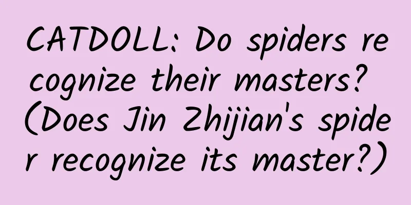 CATDOLL: Do spiders recognize their masters? (Does Jin Zhijian's spider recognize its master?)
