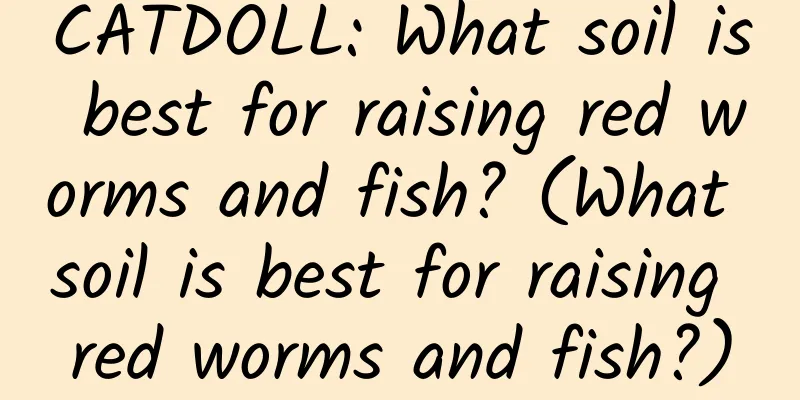 CATDOLL: What soil is best for raising red worms and fish? (What soil is best for raising red worms and fish?)
