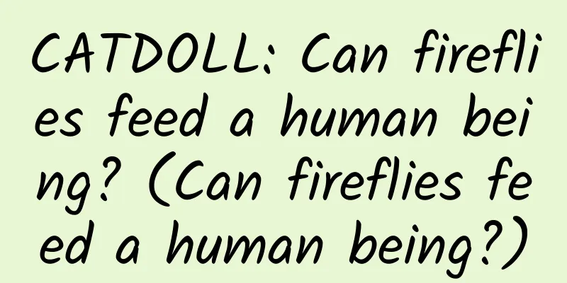 CATDOLL: Can fireflies feed a human being? (Can fireflies feed a human being?)