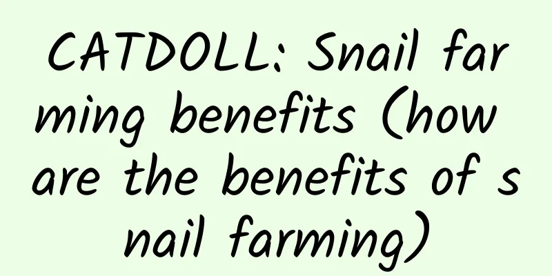 CATDOLL: Snail farming benefits (how are the benefits of snail farming)
