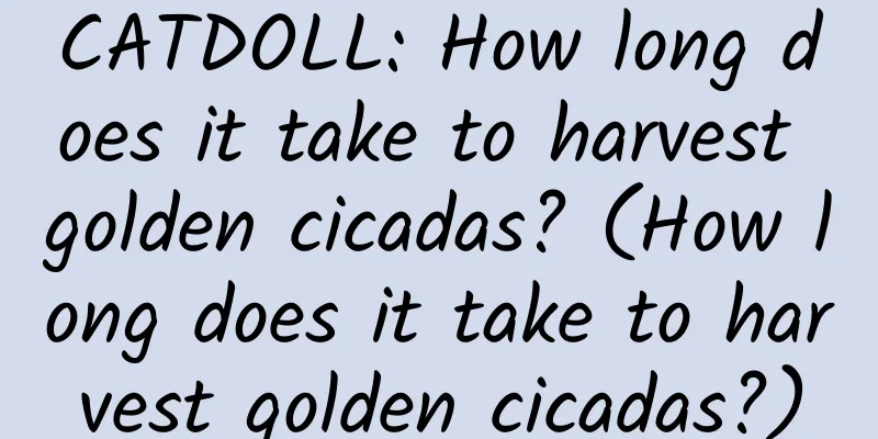 CATDOLL: How long does it take to harvest golden cicadas? (How long does it take to harvest golden cicadas?)
