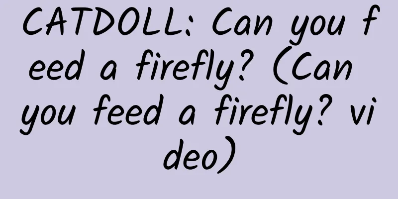 CATDOLL: Can you feed a firefly? (Can you feed a firefly? video)