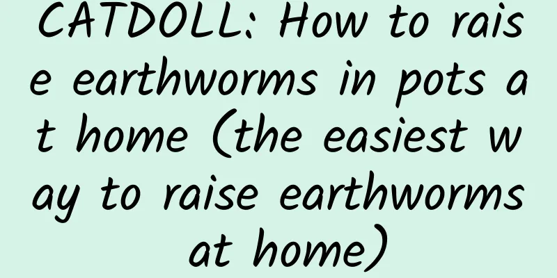 CATDOLL: How to raise earthworms in pots at home (the easiest way to raise earthworms at home)