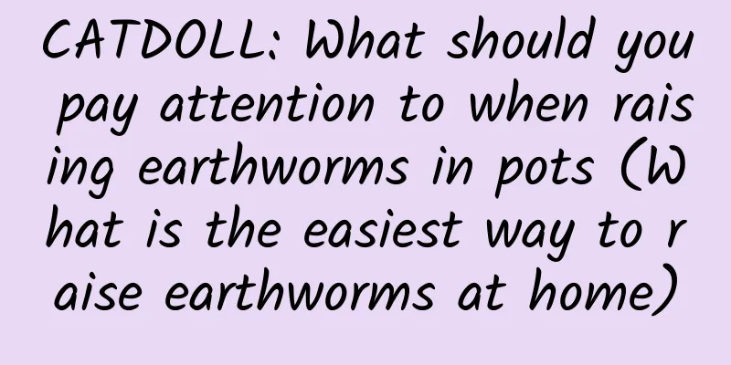 CATDOLL: What should you pay attention to when raising earthworms in pots (What is the easiest way to raise earthworms at home)