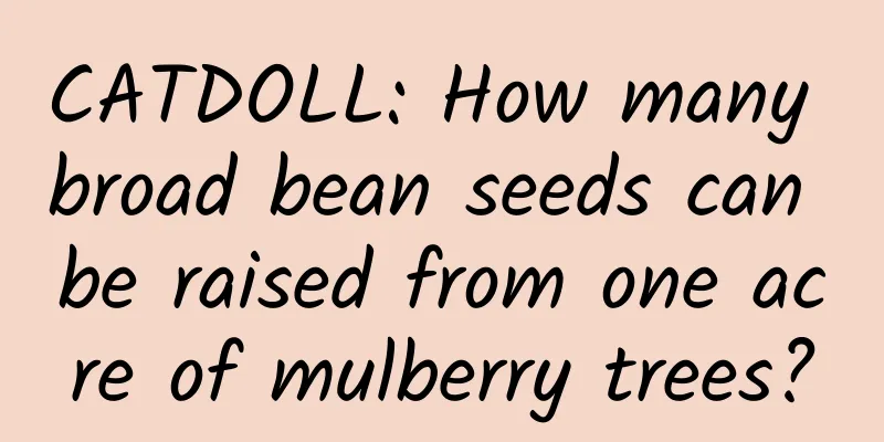 CATDOLL: How many broad bean seeds can be raised from one acre of mulberry trees?