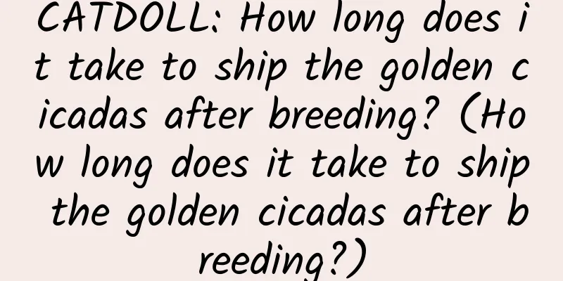 CATDOLL: How long does it take to ship the golden cicadas after breeding? (How long does it take to ship the golden cicadas after breeding?)