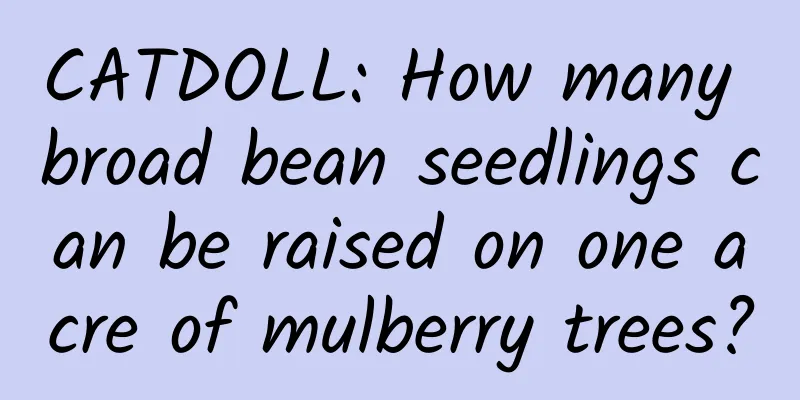 CATDOLL: How many broad bean seedlings can be raised on one acre of mulberry trees?