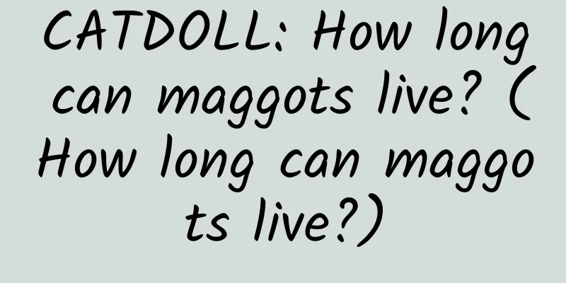 CATDOLL: How long can maggots live? (How long can maggots live?)