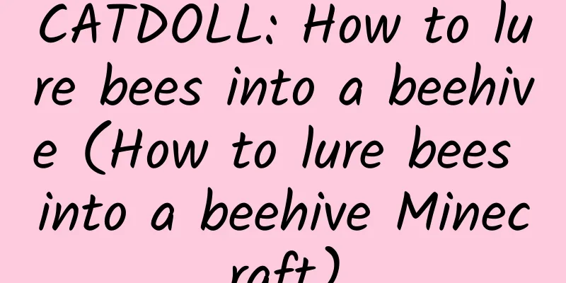 CATDOLL: How to lure bees into a beehive (How to lure bees into a beehive Minecraft)
