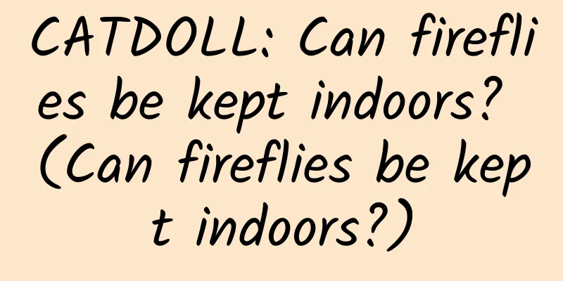 CATDOLL: Can fireflies be kept indoors? (Can fireflies be kept indoors?)