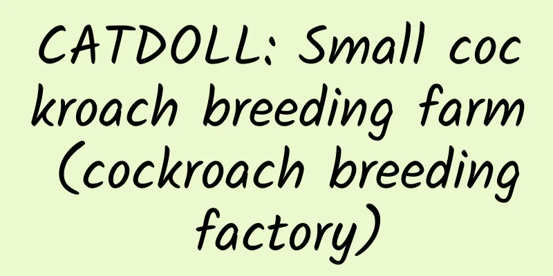 CATDOLL: Small cockroach breeding farm (cockroach breeding factory)