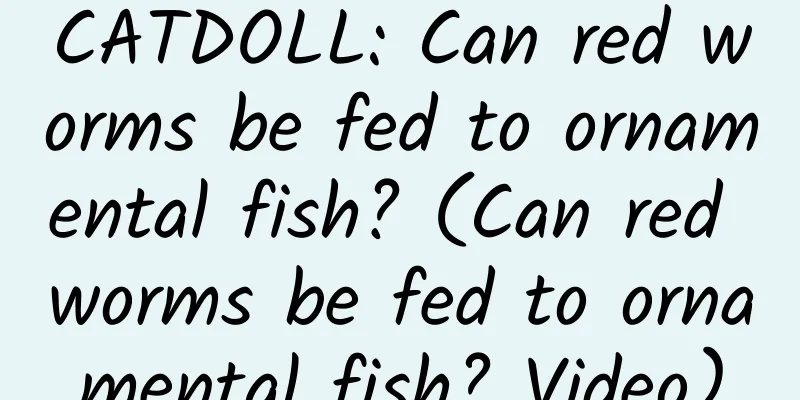 CATDOLL: Can red worms be fed to ornamental fish? (Can red worms be fed to ornamental fish? Video)