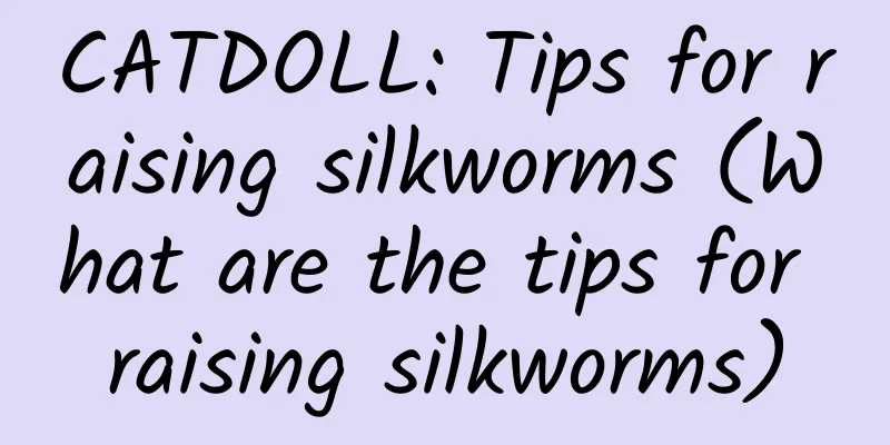 CATDOLL: Tips for raising silkworms (What are the tips for raising silkworms)