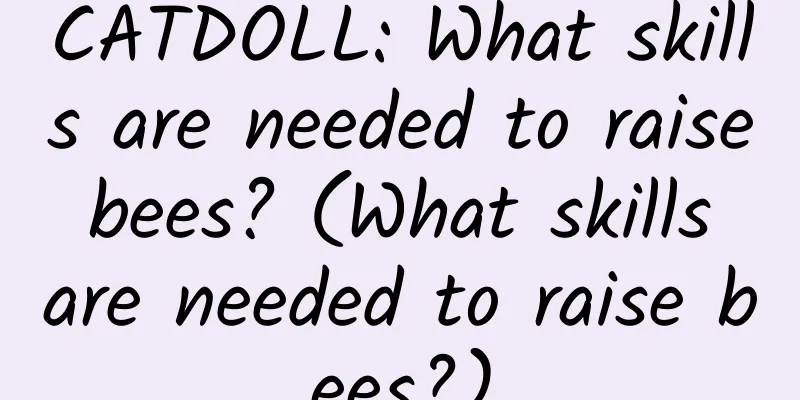 CATDOLL: What skills are needed to raise bees? (What skills are needed to raise bees?)
