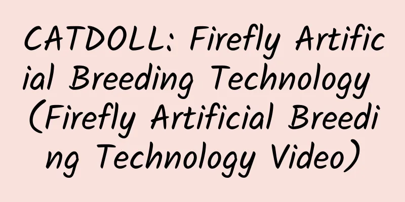 CATDOLL: Firefly Artificial Breeding Technology (Firefly Artificial Breeding Technology Video)