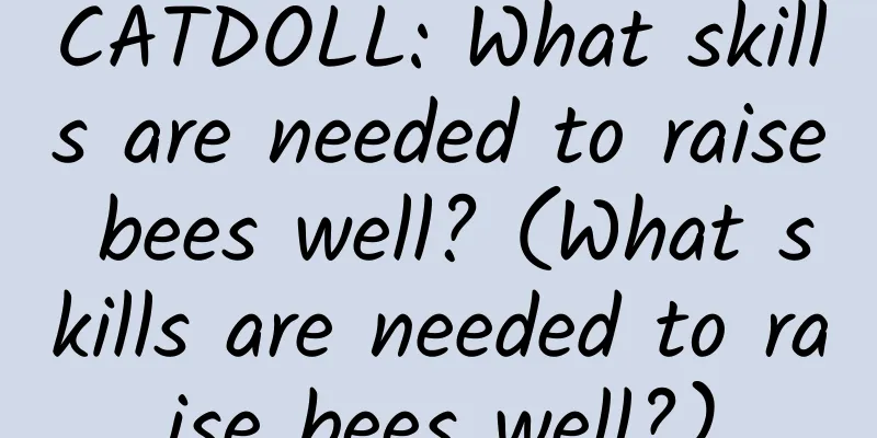 CATDOLL: What skills are needed to raise bees well? (What skills are needed to raise bees well?)