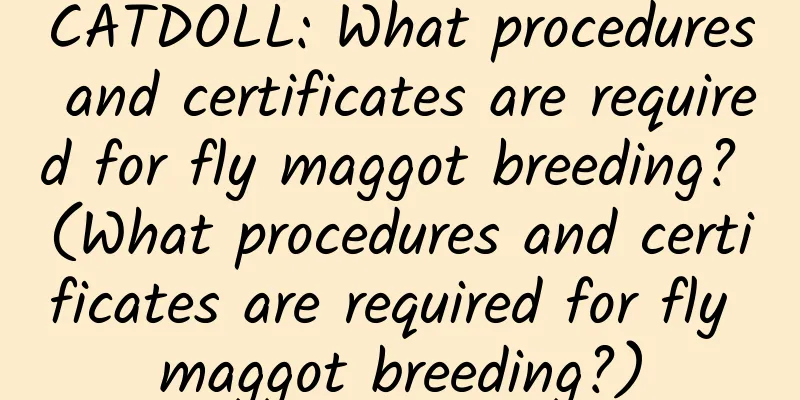 CATDOLL: What procedures and certificates are required for fly maggot breeding? (What procedures and certificates are required for fly maggot breeding?)