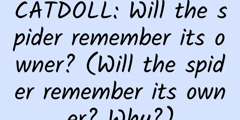 CATDOLL: Will the spider remember its owner? (Will the spider remember its owner? Why?)