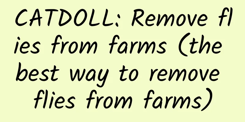 CATDOLL: Remove flies from farms (the best way to remove flies from farms)