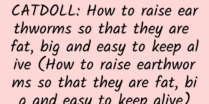 CATDOLL: How to raise earthworms so that they are fat, big and easy to keep alive (How to raise earthworms so that they are fat, big and easy to keep alive)
