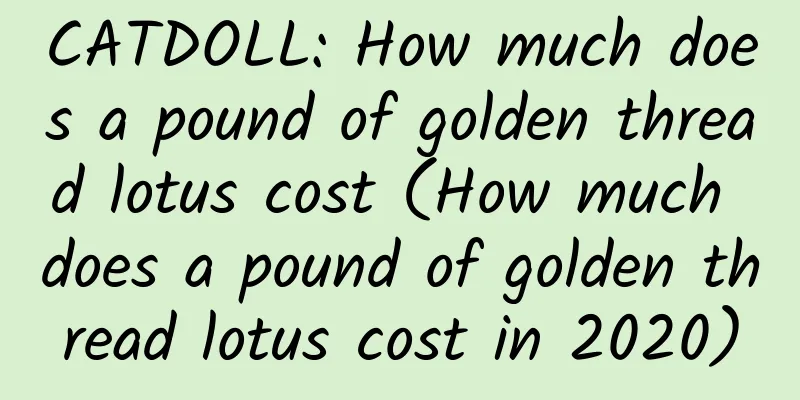 CATDOLL: How much does a pound of golden thread lotus cost (How much does a pound of golden thread lotus cost in 2020)