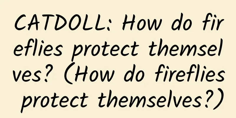 CATDOLL: How do fireflies protect themselves? (How do fireflies protect themselves?)