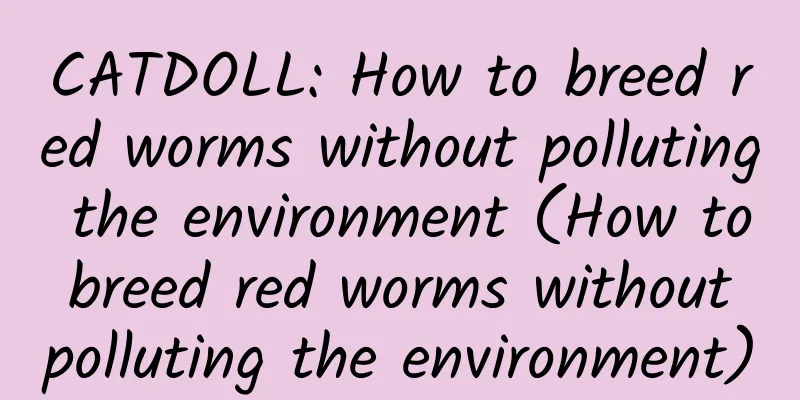 CATDOLL: How to breed red worms without polluting the environment (How to breed red worms without polluting the environment)