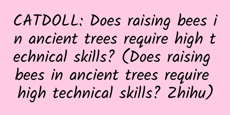 CATDOLL: Does raising bees in ancient trees require high technical skills? (Does raising bees in ancient trees require high technical skills? Zhihu)