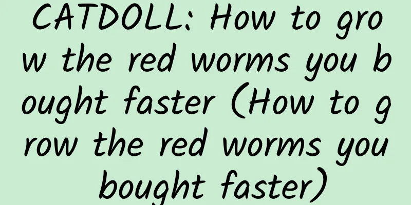 CATDOLL: How to grow the red worms you bought faster (How to grow the red worms you bought faster)
