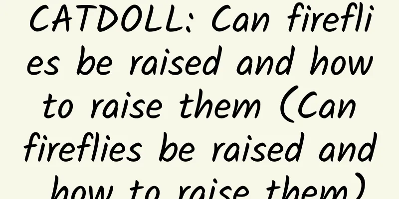 CATDOLL: Can fireflies be raised and how to raise them (Can fireflies be raised and how to raise them)