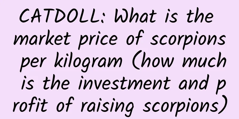 CATDOLL: What is the market price of scorpions per kilogram (how much is the investment and profit of raising scorpions)
