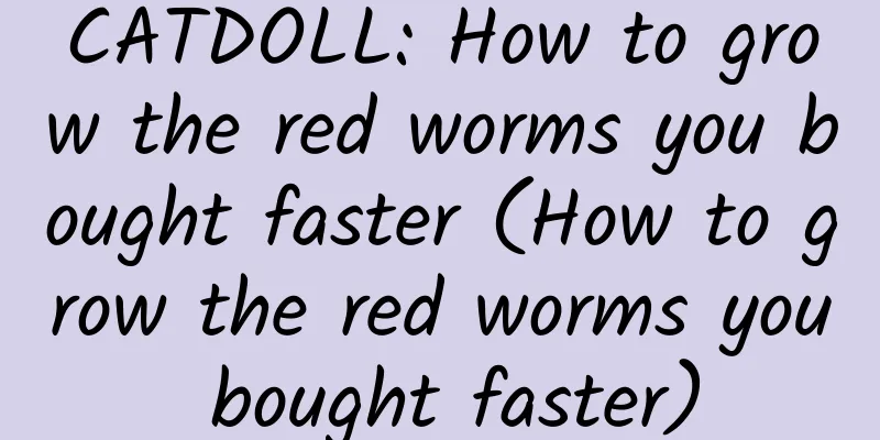 CATDOLL: How to grow the red worms you bought faster (How to grow the red worms you bought faster)