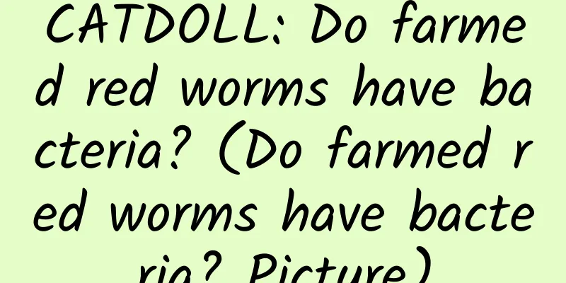 CATDOLL: Do farmed red worms have bacteria? (Do farmed red worms have bacteria? Picture)