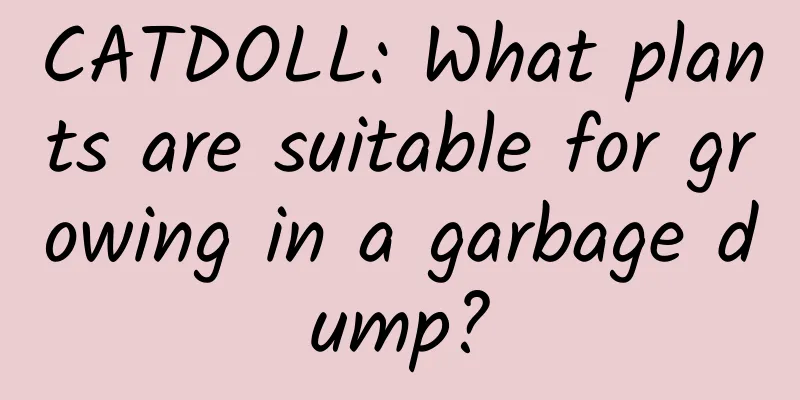 CATDOLL: What plants are suitable for growing in a garbage dump?