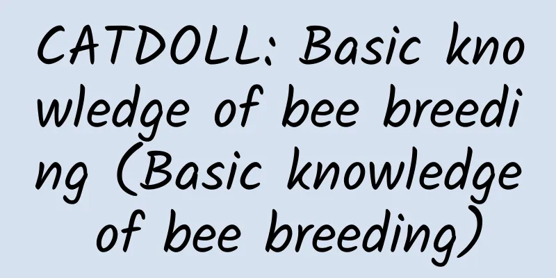 CATDOLL: Basic knowledge of bee breeding (Basic knowledge of bee breeding)