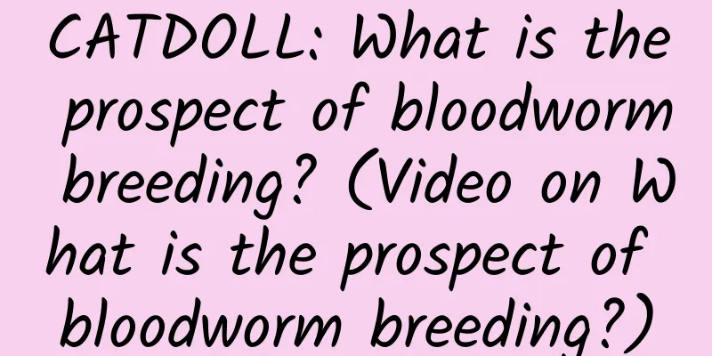 CATDOLL: What is the prospect of bloodworm breeding? (Video on What is the prospect of bloodworm breeding?)