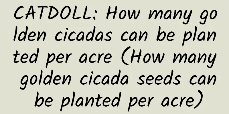 CATDOLL: How many golden cicadas can be planted per acre (How many golden cicada seeds can be planted per acre)