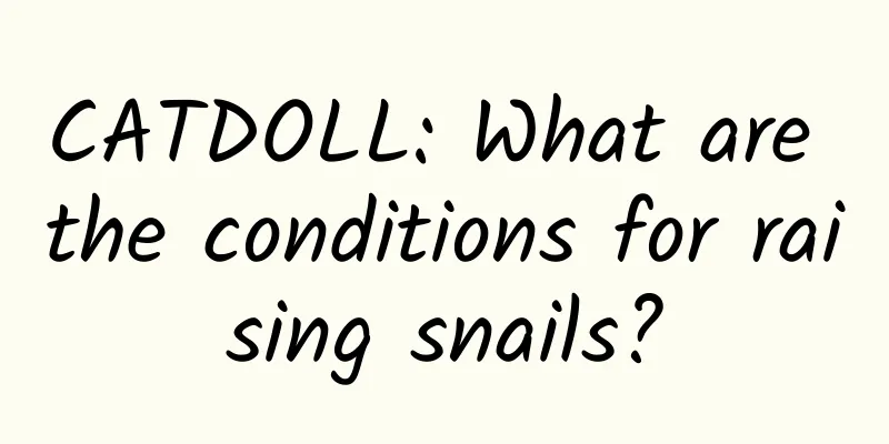 CATDOLL: What are the conditions for raising snails?